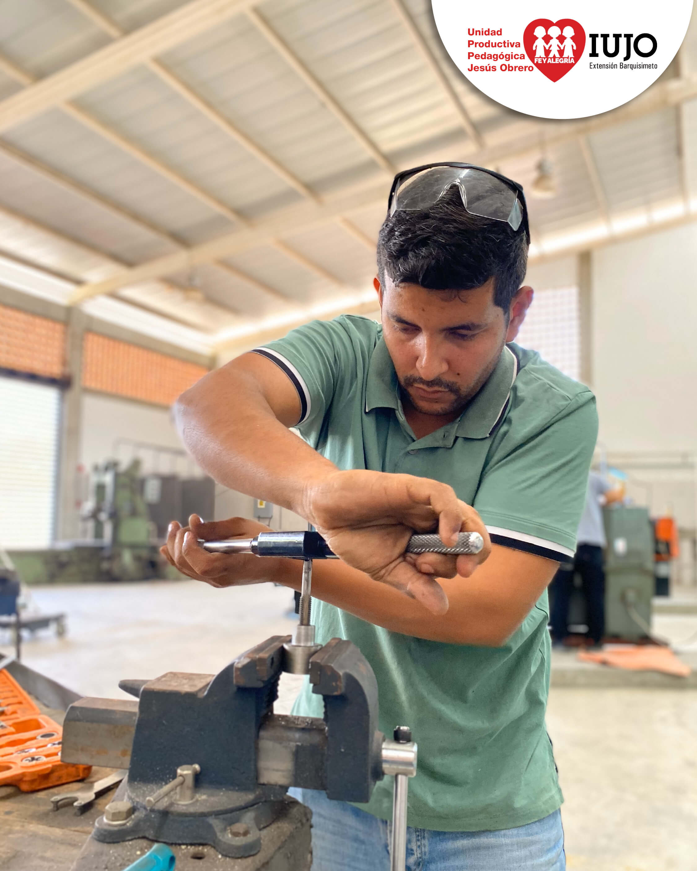 Imagen de galeria 19